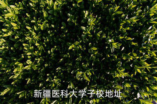 新疆醫科大學地址，新疆醫科大學子校地址