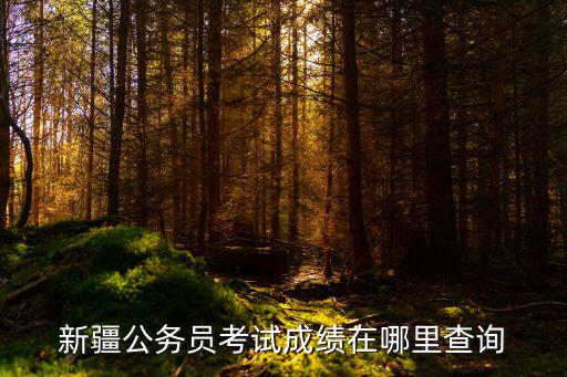 新疆公務員考試成績在哪里查詢