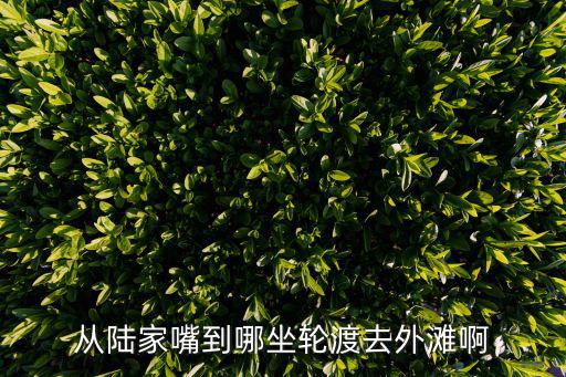 從陸家嘴到哪坐輪渡去外灘啊