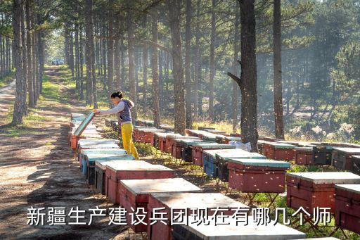 新疆生產(chǎn)建設(shè)兵團(tuán)現(xiàn)在有哪幾個師