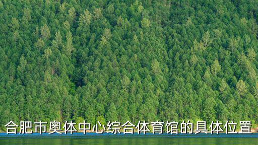 合肥市奧體中心綜合體育館的具體位置