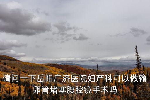 請問一下岳陽廣濟醫院婦產科可以做輸卵管堵塞腹腔鏡手術嗎