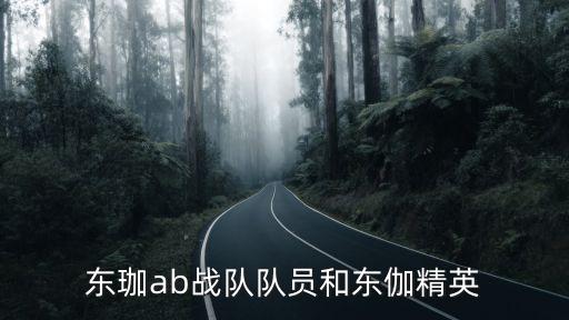 東珈ab戰(zhàn)隊(duì)隊(duì)員和東伽精英