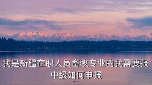 我是新疆在職人員畜牧專業(yè)的我需要報(bào)中級(jí)如何申報(bào)