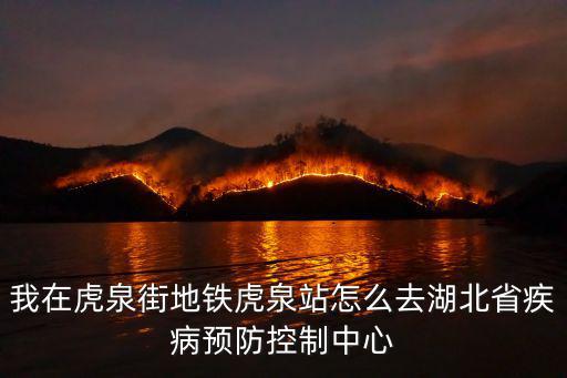 我在虎泉街地鐵虎泉站怎么去湖北省疾病預防控制中心