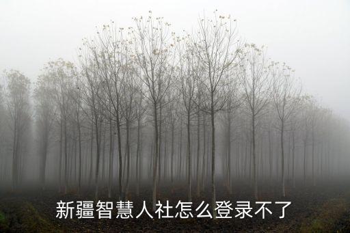 新疆智慧人社，新疆烏魯木齊市有哪些智慧社區(qū)平臺