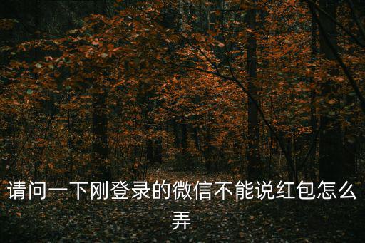 請問一下剛登錄的微信不能說紅包怎么弄