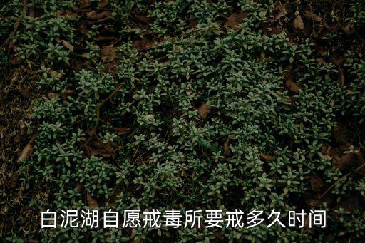 白泥湖自愿戒毒所要戒多久時間