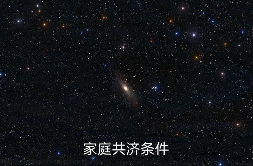 家庭共濟條件