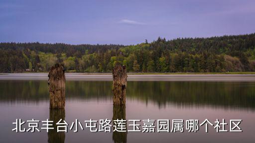 北京豐臺(tái)小屯路蓮玉嘉園屬哪個(gè)社區(qū)