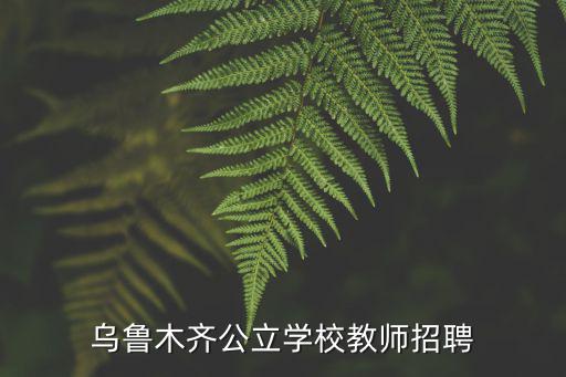 烏魯木齊公立學校教師招聘
