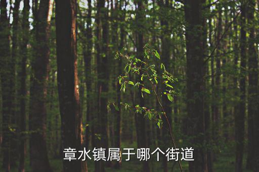 章水鎮，我想知道章水鎮最有名的歷史文化名人是誰