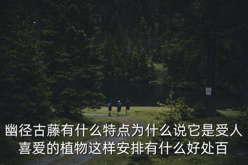 幽徑古藤有什么特點為什么說它是受人喜愛的植物這樣安排有什么好處百