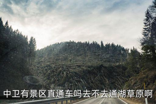 中衛有景區直通車嗎去不去通湖草原啊