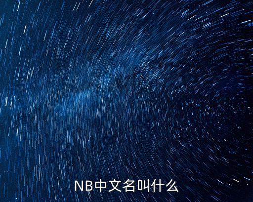 NB中文名叫什么