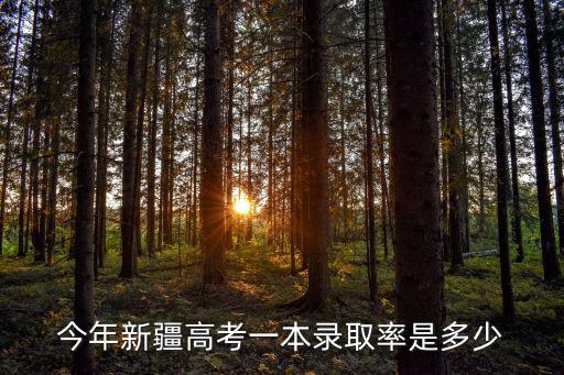 今年新疆高考一本錄取率是多少