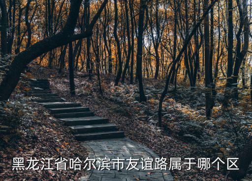 黑龍江省哈爾濱市友誼路屬于哪個區