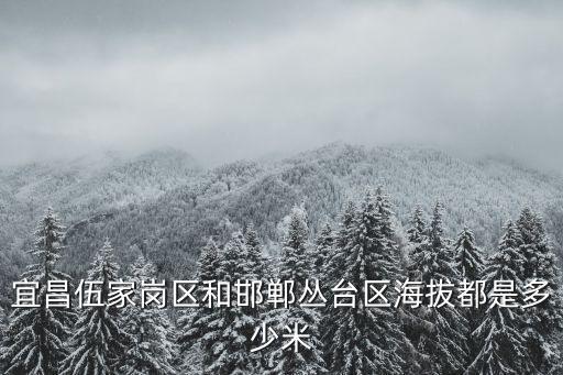 伍家崗區，宜昌鑫物汽車城在哪里