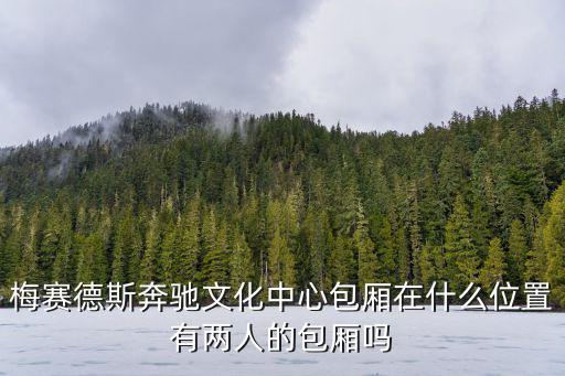 梅賽德斯奔馳文化中心包廂在什么位置有兩人的包廂嗎