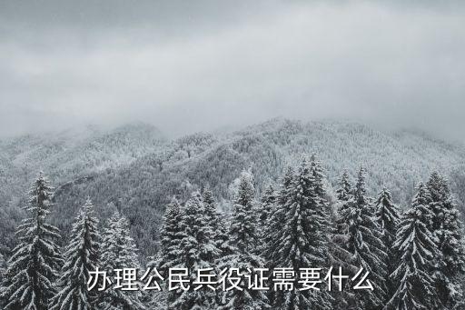 公民兵役證，兵役證辦理流程