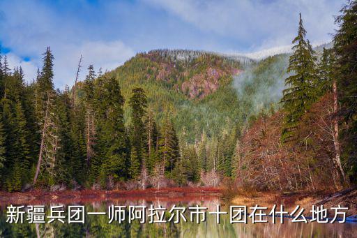 新疆兵團一師阿拉爾市十團在什么地方