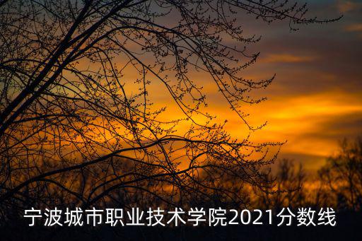 寧波城市職業技術學院2021分數線