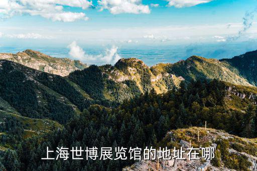 上海世博展覽館的地址在哪