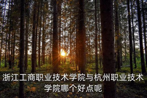 浙江工商職業技術學院與杭州職業技術學院哪個好點呢