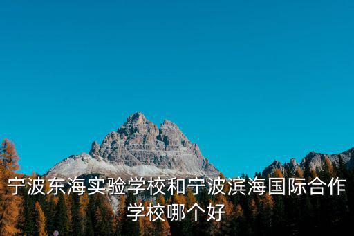 寧波東海實驗學校和寧波濱海國際合作學校哪個好