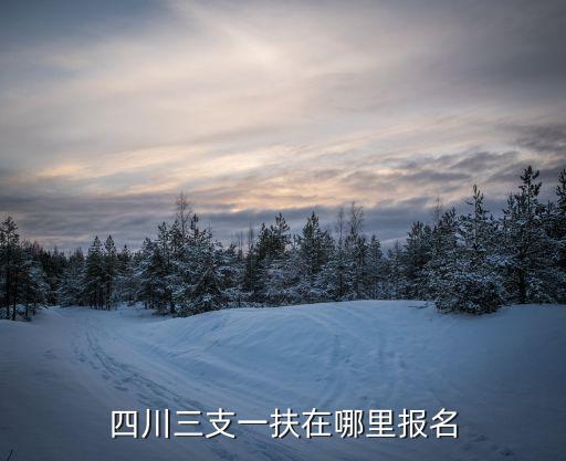 四川三支一扶在哪里報(bào)名
