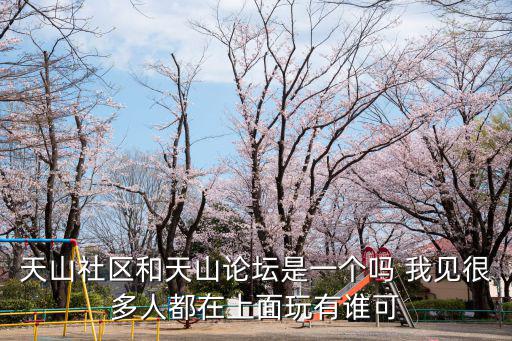 天山社區和天山論壇是一個嗎 我見很多人都在上面玩有誰可