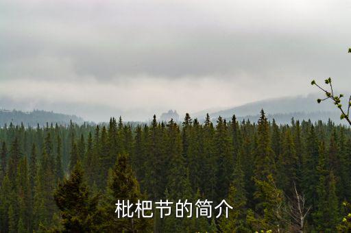 枇杷節的簡介