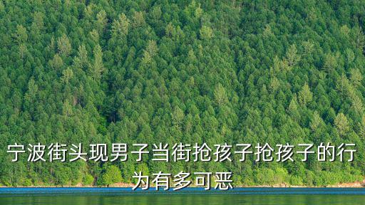 寧波街頭現(xiàn)男子當(dāng)街搶孩子搶孩子的行為有多可惡