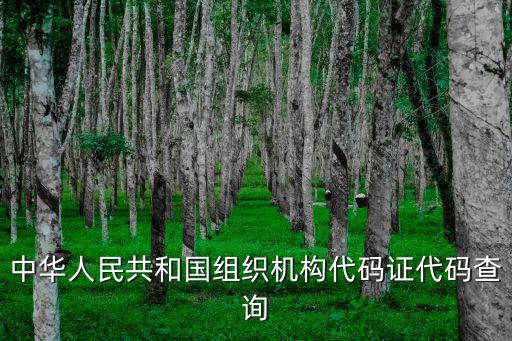 中華人民共和國組織機構(gòu)代碼證代碼查詢