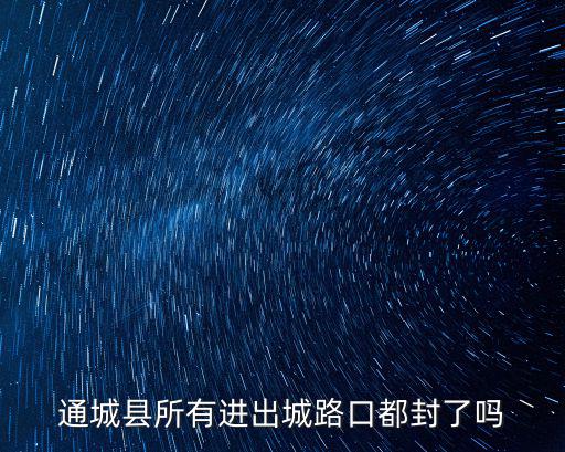 通城縣所有進出城路口都封了嗎