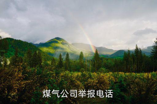 燃氣公司最怕哪的投訴，誰知道投訴天然氣公司給哪打電話謝謝了