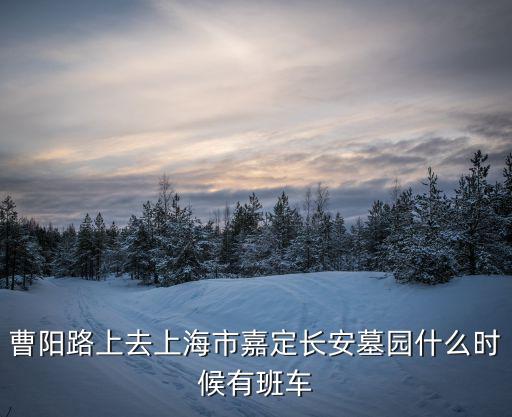 曹陽路上去上海市嘉定長安墓園什么時候有班車