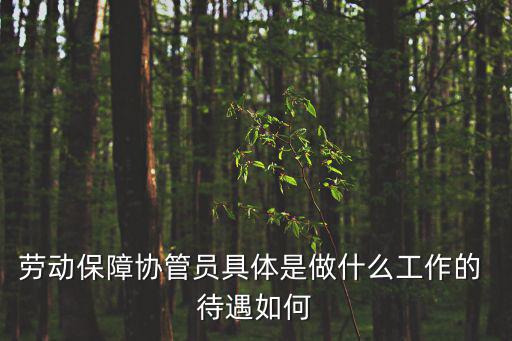 勞動保障協管員具體是做什么工作的 待遇如何