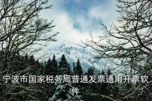 寧波市國(guó)家稅務(wù)局普通發(fā)票通用開票軟件