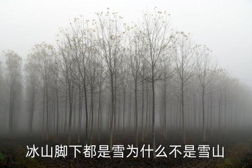 冰山腳下，1南極附近的海域終年被冰雪覆蓋其中絕大多數是終年不化的