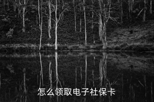 怎么領(lǐng)取電子社保卡