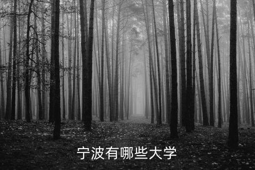 寧波有哪些大學