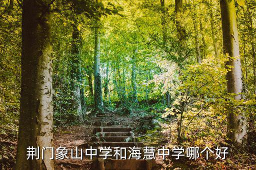 荊門象山中學和?；壑袑W哪個好