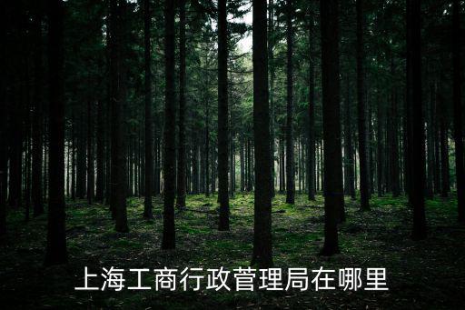 上海市工商局，上海工商行政菅理局在哪里