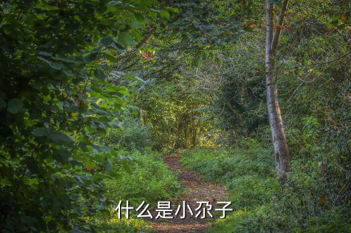 小尕子，什么是小尕子