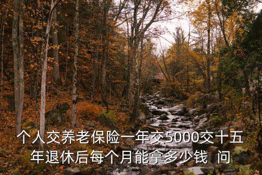 交15年養老保險能拿多少錢一月，個人交養老保險一年交5000交十五年退休后每個月能拿多少錢  問