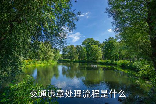 交通違章處理流程，違章處理流程是什么