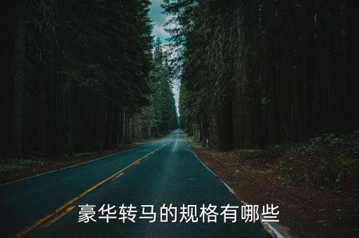 豪華轉馬的規格有哪些