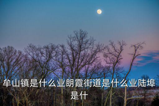 牟山鎮是什么業朗霞街道是什么業陸埠是什