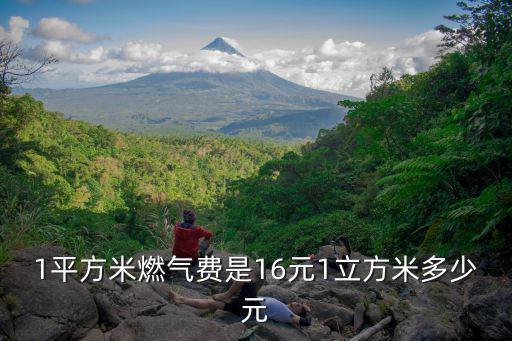 1平方米燃?xì)赓M(fèi)是16元1立方米多少元
